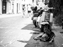 _KY_0142-1-4