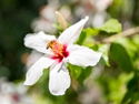 SKY_0110-497