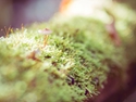SKY_1294-5