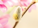 SKY_7085-2