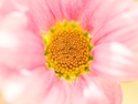 SKY_7087-2