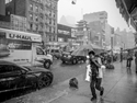 SKY_8118