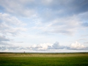 SKY_8216