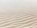 SKY_8460