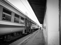 SKY_8950